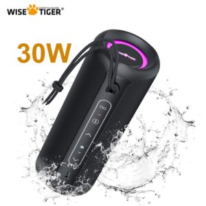 WISETIGER Alto-falante Bluetooth portátil 30 W IPX7 à prova d'água Caixa de som poderosa Reforço de graves Emparelhamento duplo Estéreo sem fio verdadeiro Externo