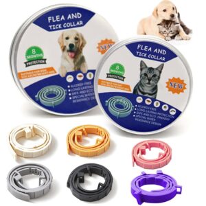 38/62CM Coleira para cães de prevenção contra pulgas e carrapatos Coleira para gatos de estimação 8 meses coleira antipulgas e carrapatos para cães pequenos coleira ajustável para gatos