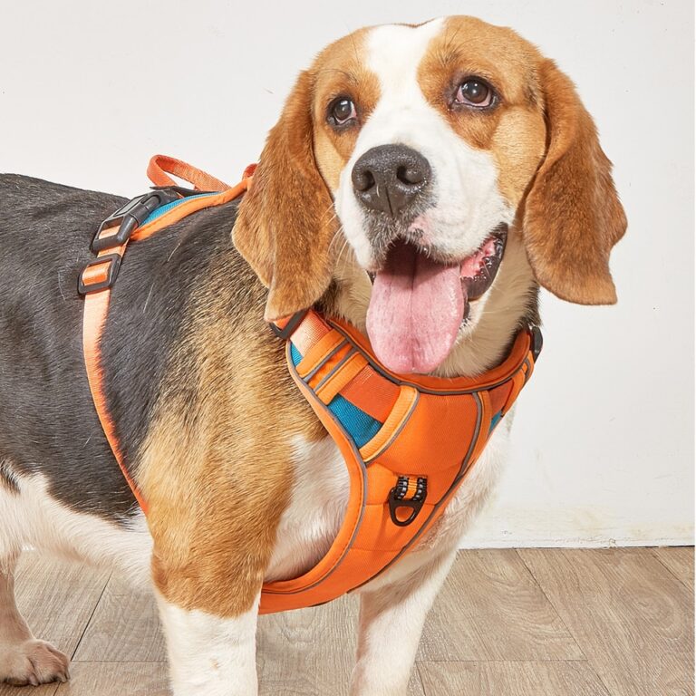 Arnês para cães sem puxão para caminhada ao ar livre, respirável, reflexivo, ajustável, arnês para cães pequenos, para cães de médio porte, suprimentos para animais de estimação - Image 3