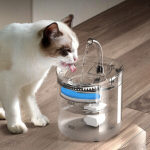 Fonte de água inteligente para gatos 2L com torneira Dispensador de água para cães Bebedouro transparente Filtros para animais de estimação Alimentador Sensor de movimento