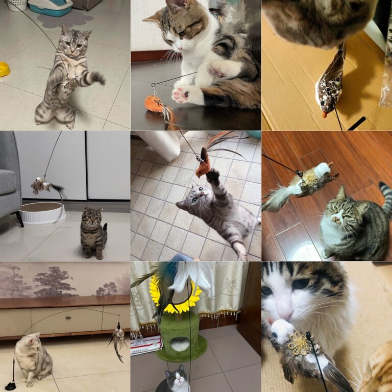 Varinha mãos livres pássaro/pena gato com sino ventosa poderosa brinquedos interativos para gatos gatinho caça exercício produtos para animais de estimação - Image 13