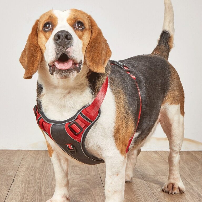 Arnês para cães sem puxão para caminhada ao ar livre, respirável, reflexivo, ajustável, arnês para cães pequenos, para cães de médio porte, suprimentos para animais de estimação - Image 9