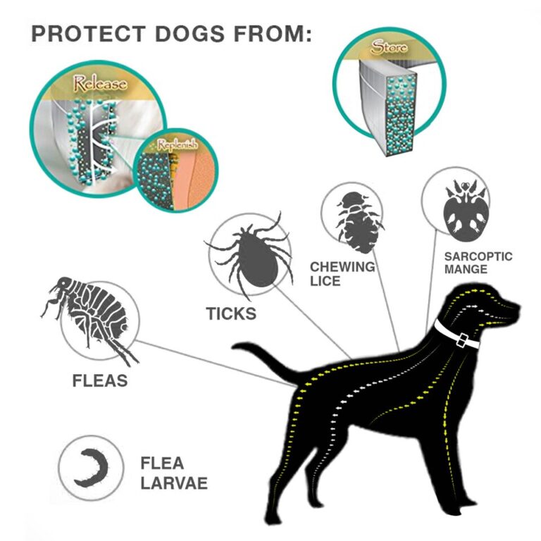 38/62CM Coleira para cães de prevenção contra pulgas e carrapatos Coleira para gatos de estimação 8 meses coleira antipulgas e carrapatos para cães pequenos coleira ajustável para gatos - Image 17